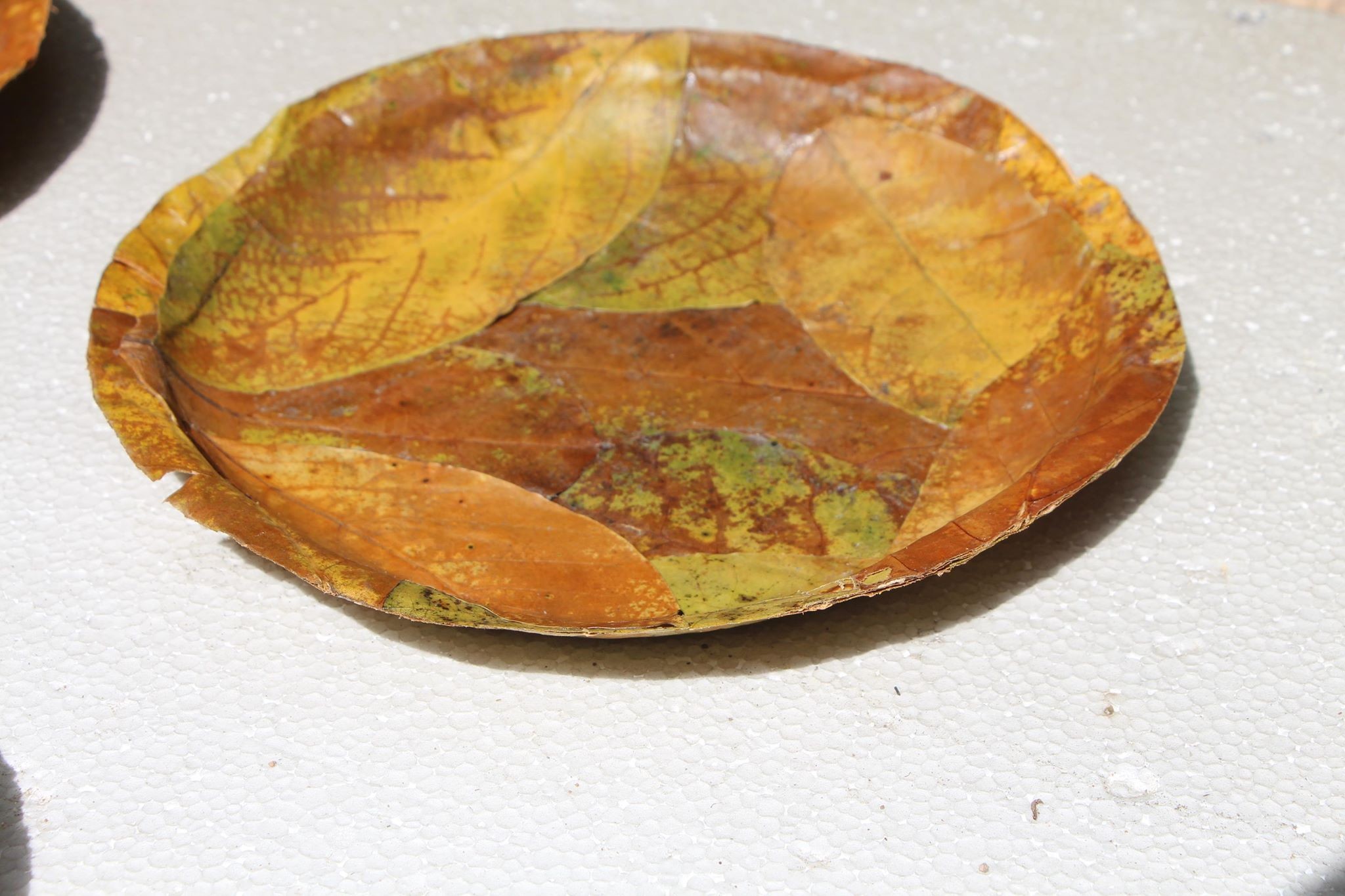 Prototype of a plate made from fallen leaves. This project aims to solve the problem caused by the excessive use of plastic dining wares.